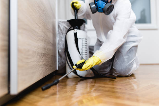 Best Residential Pest Control  in Metuchen, NJ