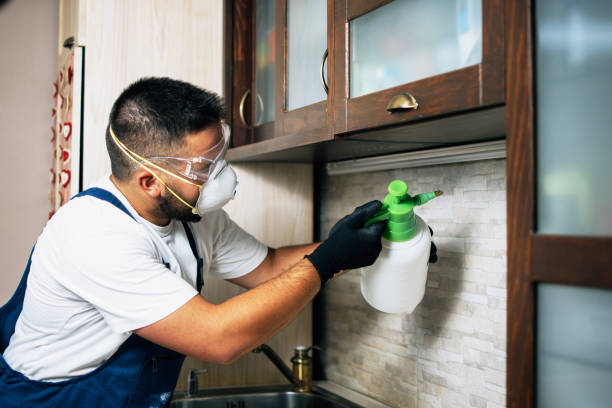 Best Bed Bug Extermination  in Metuchen, NJ