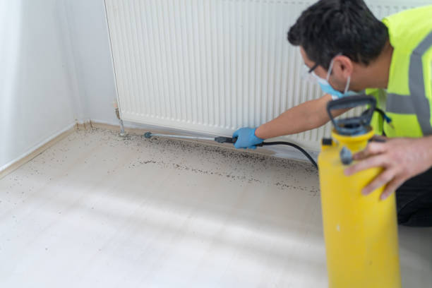 Best Mosquito Control Services  in Metuchen, NJ