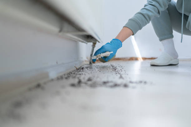 Best Best Pest Control Companies  in Metuchen, NJ