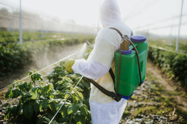 Best Exterminator Services  in Metuchen, NJ